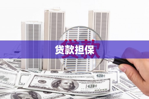 巴里坤贷款担保
