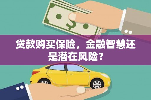 巴里坤贷款购买保险，金融智慧还是潜在风险？