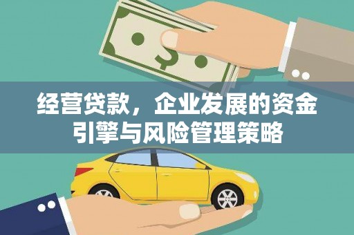 巴里坤经营贷款，企业发展的资金引擎与风险管理策略