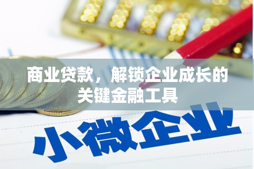 巴里坤商业贷款，解锁企业成长的关键金融工具