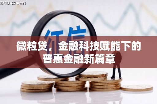 巴里坤微粒贷，金融科技赋能下的普惠金融新篇章