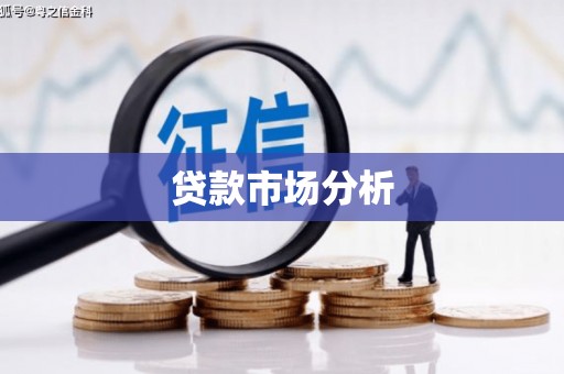 巴里坤贷款市场分析
