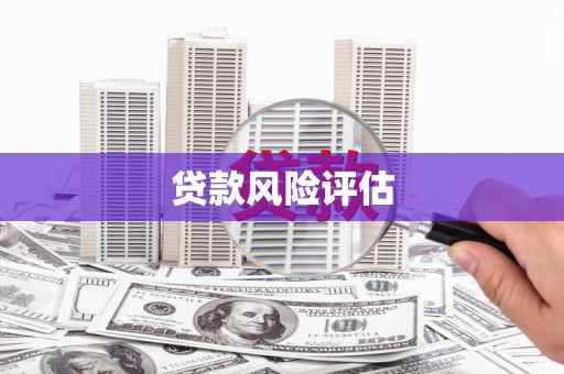 巴里坤贷款风险评估