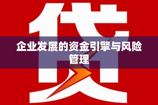 巴里坤企业发展的资金引擎与风险管理