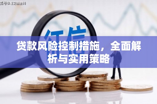 巴里坤贷款风险控制措施，全面解析与实用策略
