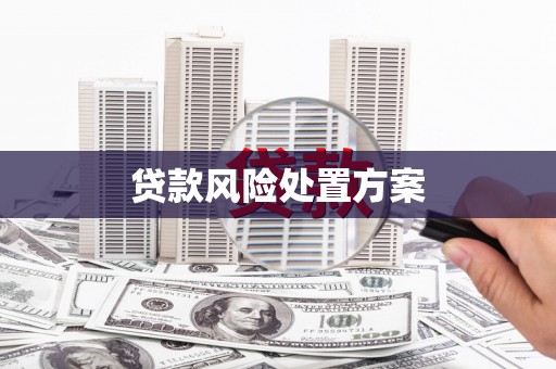 巴里坤贷款风险处置方案