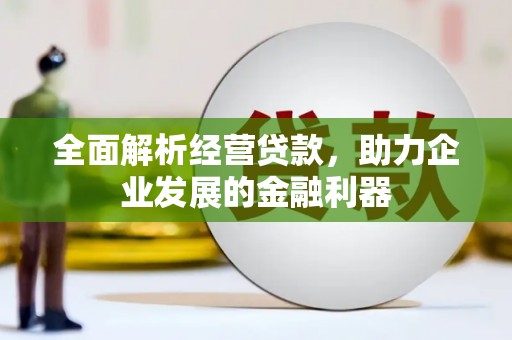巴里坤全面解析经营贷款，助力企业发展的金融利器