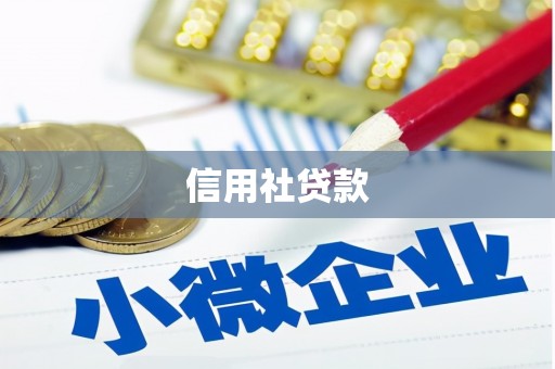 巴里坤信用社贷款