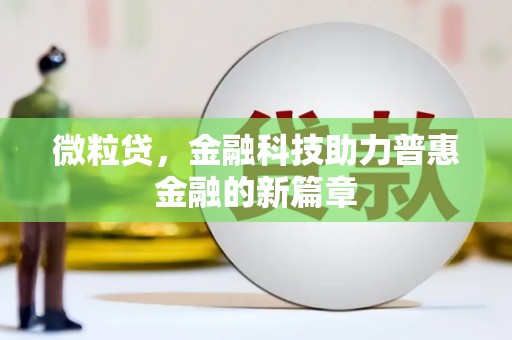 巴里坤微粒贷，金融科技助力普惠金融的新篇章