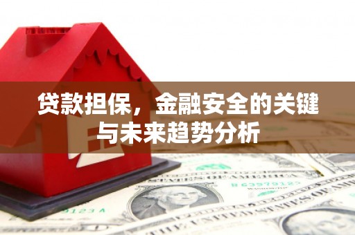巴里坤贷款担保，金融安全的关键与未来趋势分析