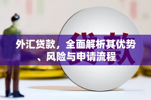 巴里坤外汇贷款，全面解析其优势、风险与申请流程