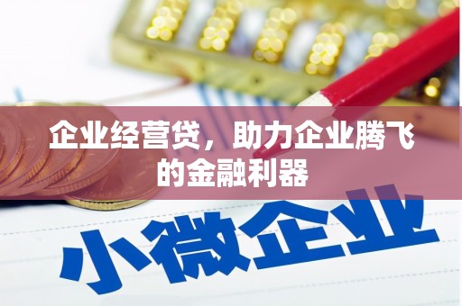 巴里坤企业经营贷，助力企业腾飞的金融利器