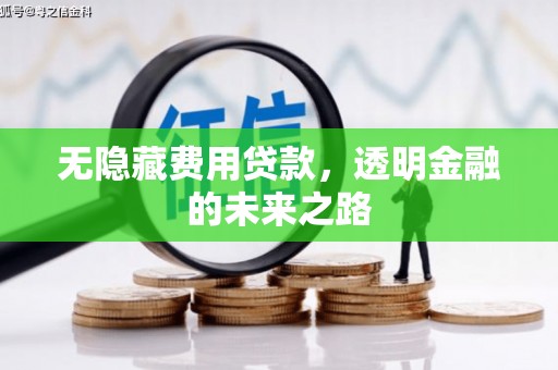 巴里坤无隐藏费用贷款，透明金融的未来之路