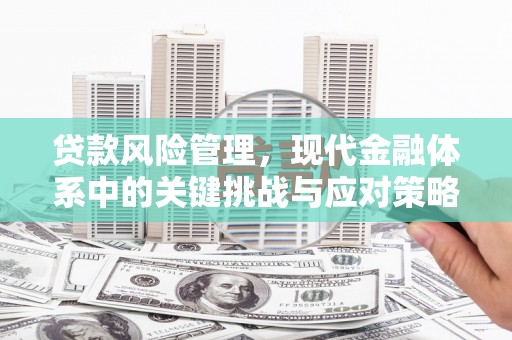巴里坤贷款风险管理，现代金融体系中的关键挑战与应对策略