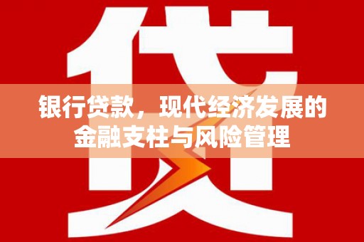 巴里坤银行贷款，现代经济发展的金融支柱与风险管理