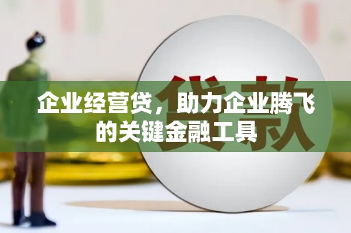 巴里坤企业经营贷，助力企业腾飞的关键金融工具