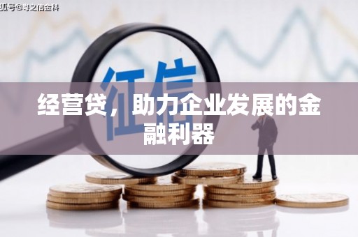巴里坤经营贷，助力企业发展的金融利器