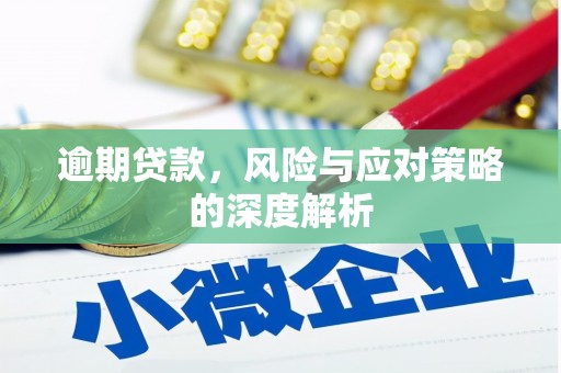 巴里坤逾期贷款，风险与应对策略的深度解析