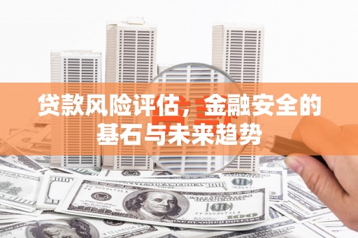 巴里坤贷款风险评估，金融安全的基石与未来趋势