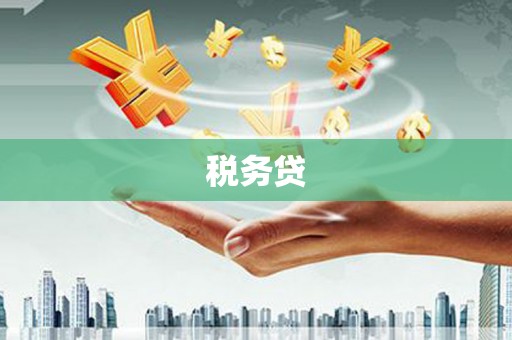 巴里坤税务贷