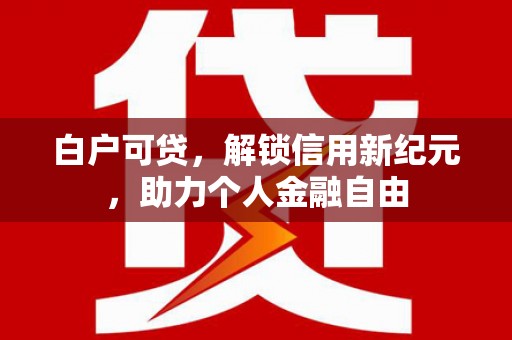 巴里坤白户可贷，解锁信用新纪元，助力个人金融自由