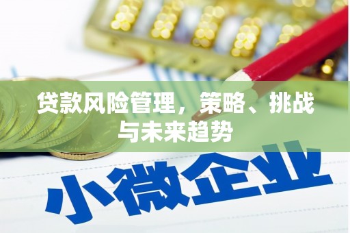 巴里坤贷款风险管理，策略、挑战与未来趋势