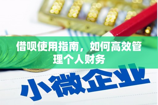 巴里坤借呗使用指南，如何高效管理个人财务
