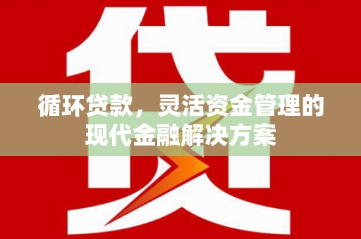 巴里坤循环贷款，灵活资金管理的现代金融解决方案