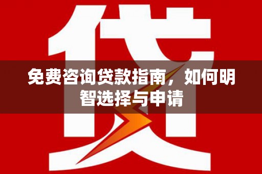 巴里坤免费咨询贷款指南，如何明智选择与申请