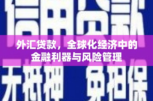 巴里坤外汇贷款，全球化经济中的金融利器与风险管理