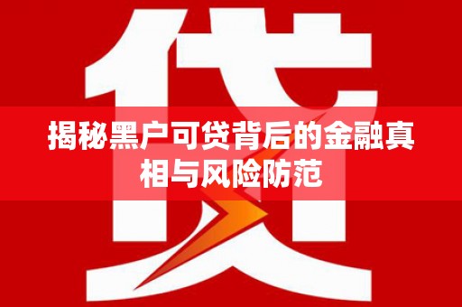 巴里坤揭秘黑户可贷背后的金融真相与风险防范