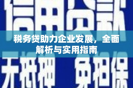 巴里坤税务贷助力企业发展，全面解析与实用指南