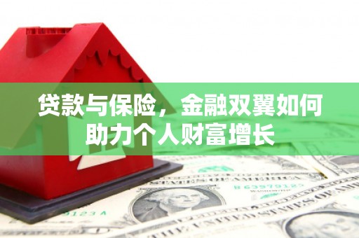 巴里坤贷款与保险，金融双翼如何助力个人财富增长