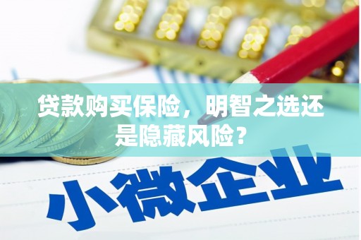巴里坤贷款购买保险，明智之选还是隐藏风险？