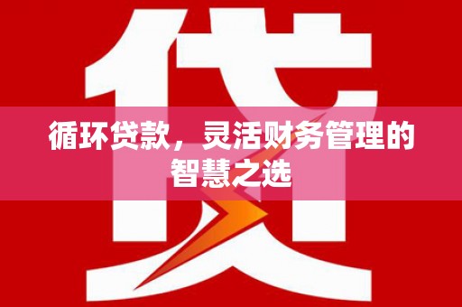 巴里坤循环贷款，灵活财务管理的智慧之选
