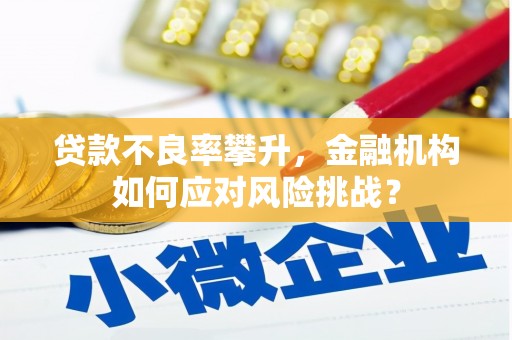 巴里坤贷款不良率攀升，金融机构如何应对风险挑战？