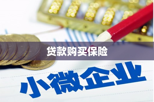 巴里坤贷款购买保险