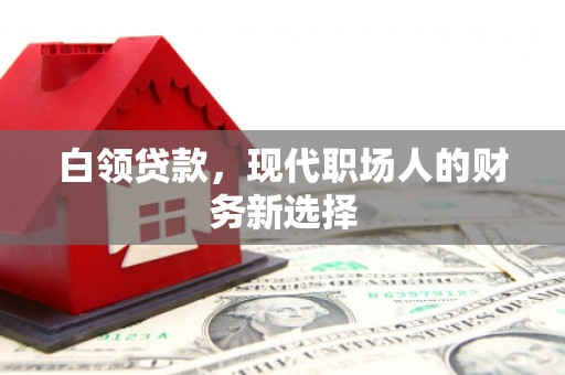 巴里坤白领贷款，现代职场人的财务新选择