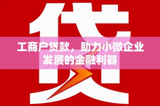 巴里坤工商户贷款，助力小微企业发展的金融利器