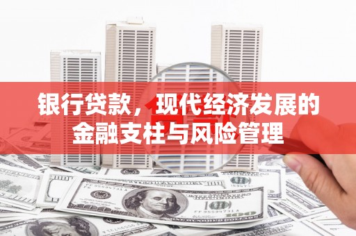 巴里坤银行贷款，现代经济发展的金融支柱与风险管理