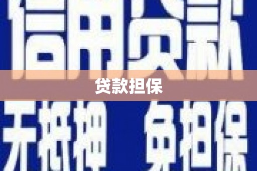 巴里坤贷款担保