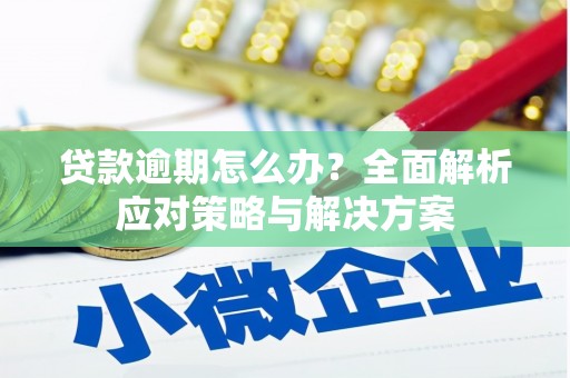 巴里坤贷款逾期怎么办？全面解析应对策略与解决方案