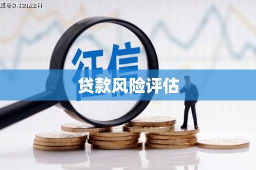 巴里坤贷款风险评估