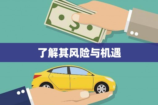 巴里坤了解其风险与机遇