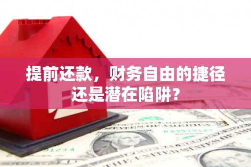 巴里坤提前还款，财务自由的捷径还是潜在陷阱？