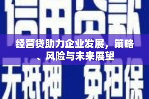 巴里坤经营贷助力企业发展，策略、风险与未来展望