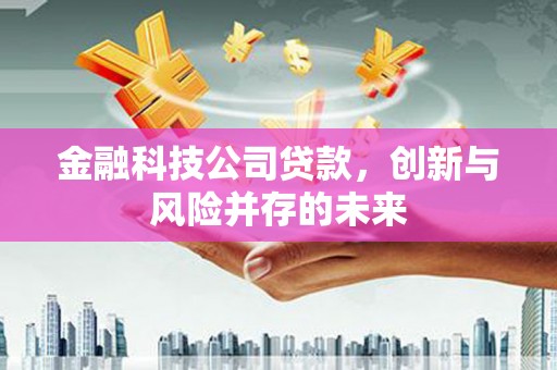 巴里坤金融科技公司贷款，创新与风险并存的未来