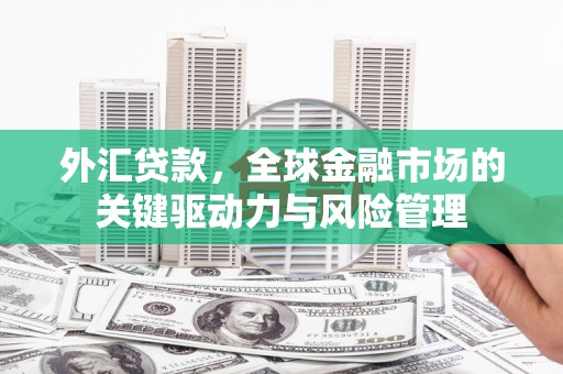 巴里坤外汇贷款，全球金融市场的关键驱动力与风险管理