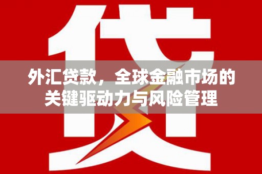 巴里坤外汇贷款，全球金融市场的关键驱动力与风险管理