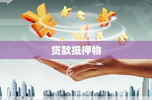 巴里坤贷款抵押物